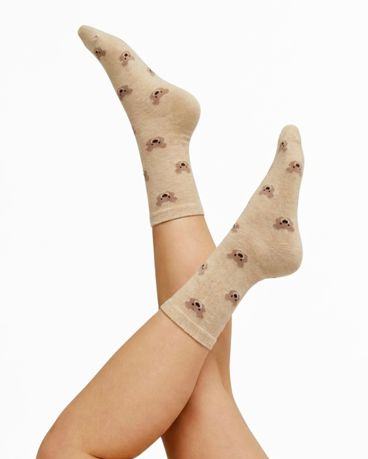 Belgian Truffle (Pack of 3)